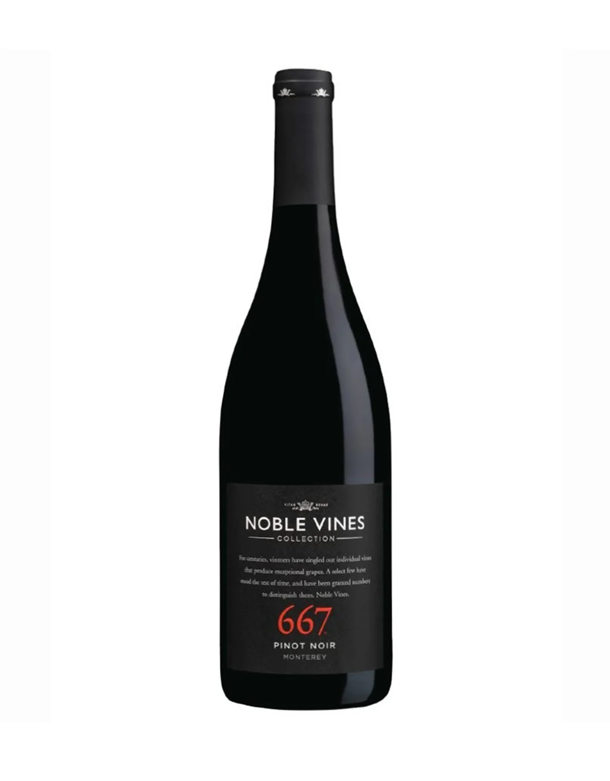667 Pinot Noir 2022