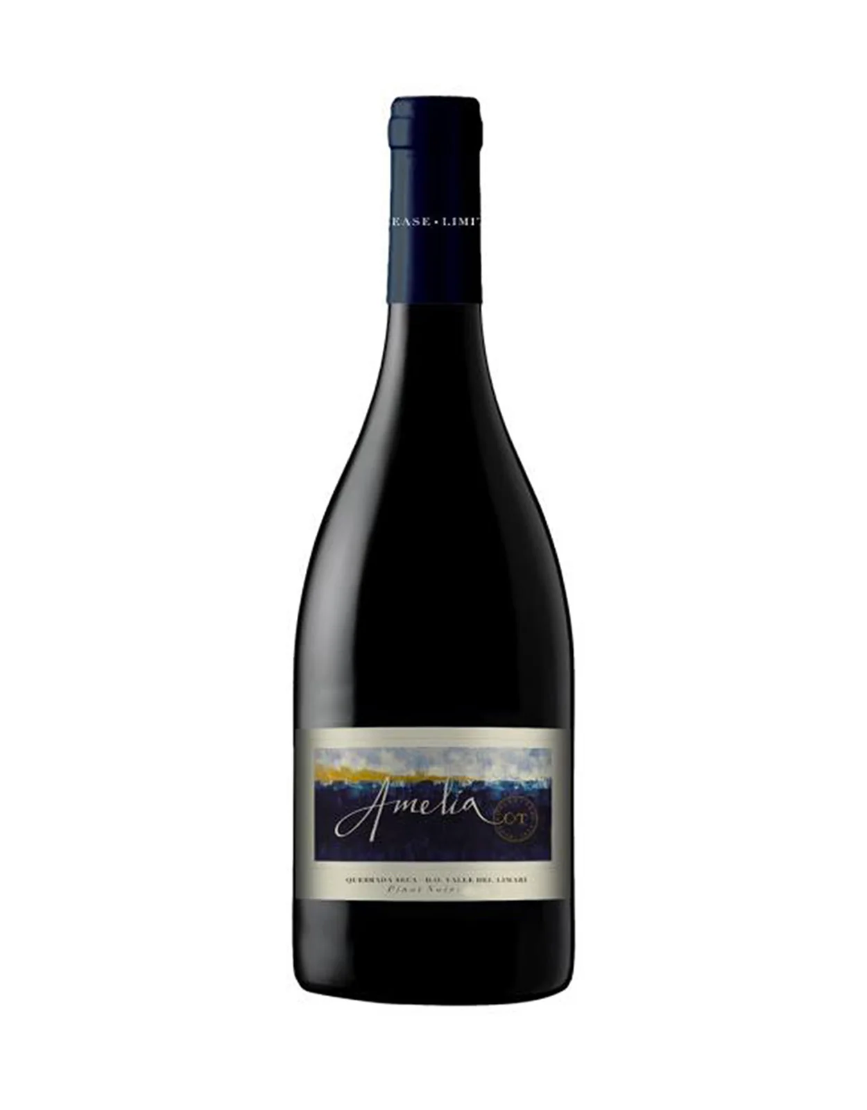 Amelia Pinot Noir 2022 (by Concha Y Toro)