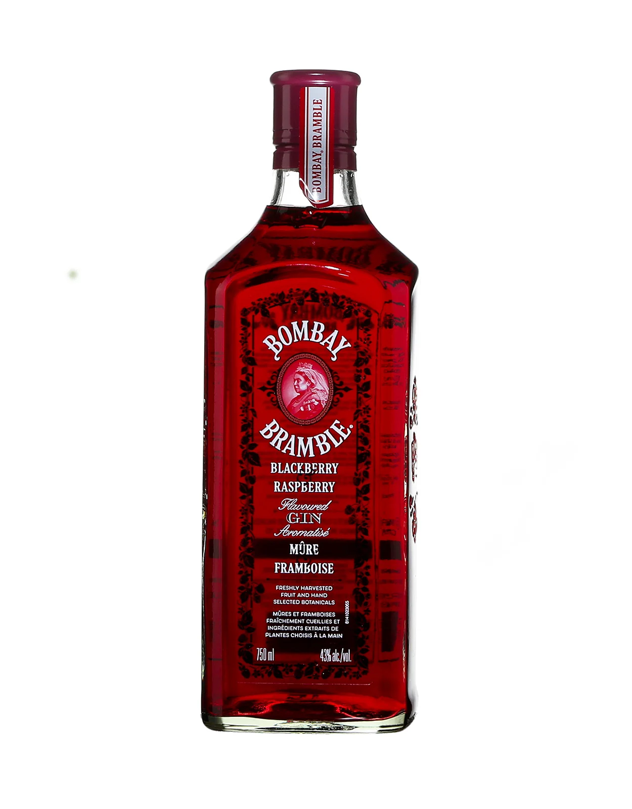 Bombay Bramble