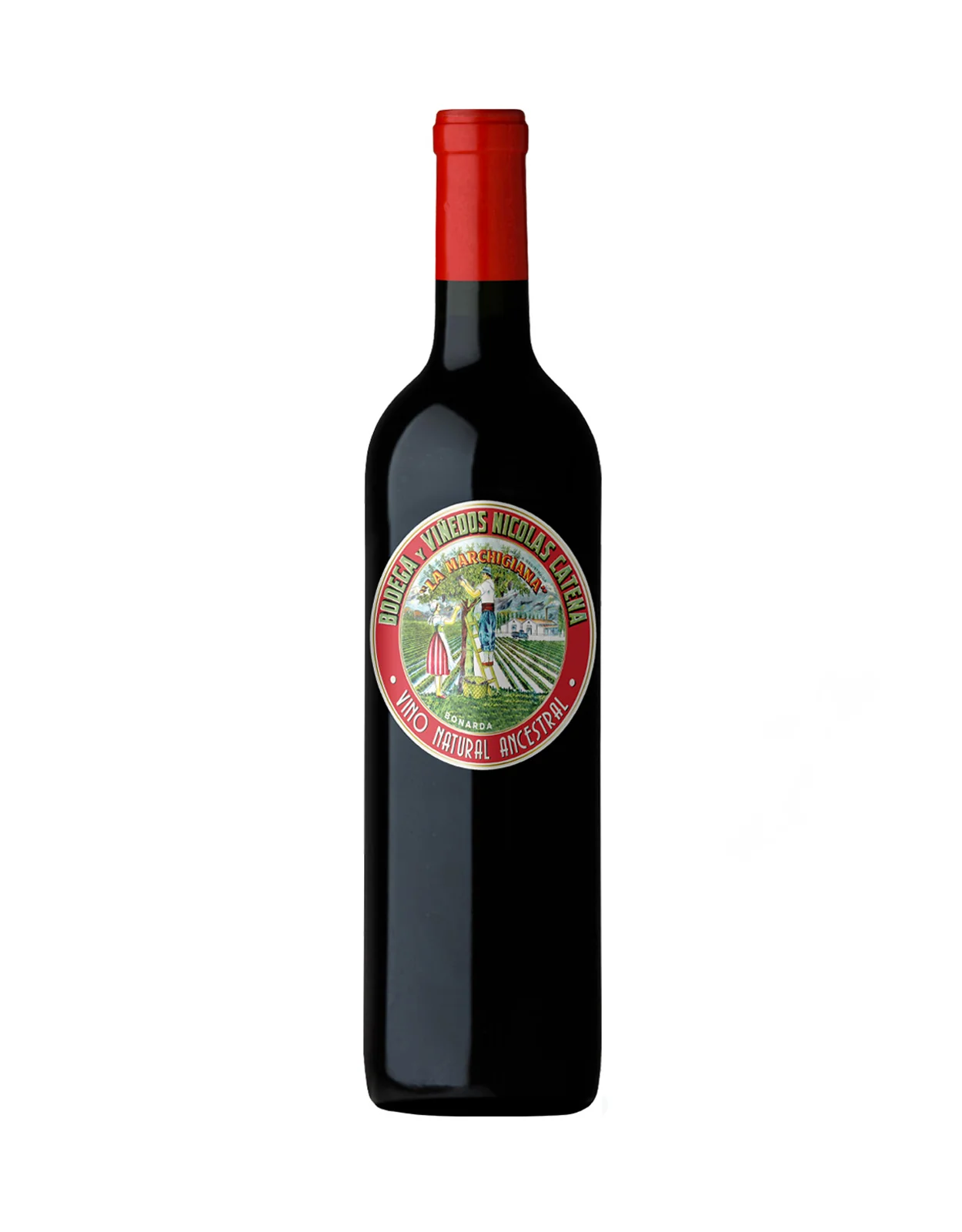 Catena Bonarda 'La Marchigiana' 2022