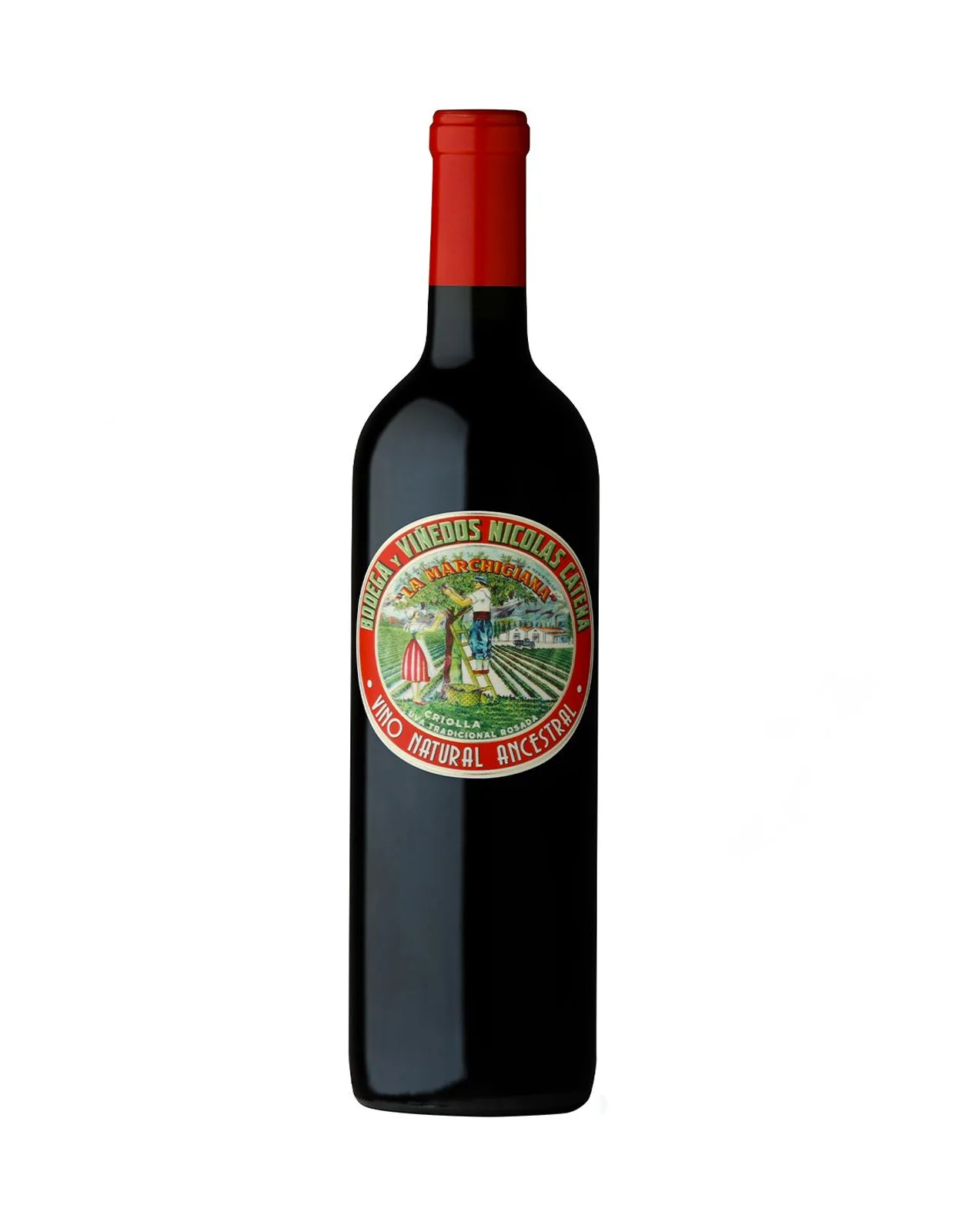 Catena Criolla 'La Marchigiana'