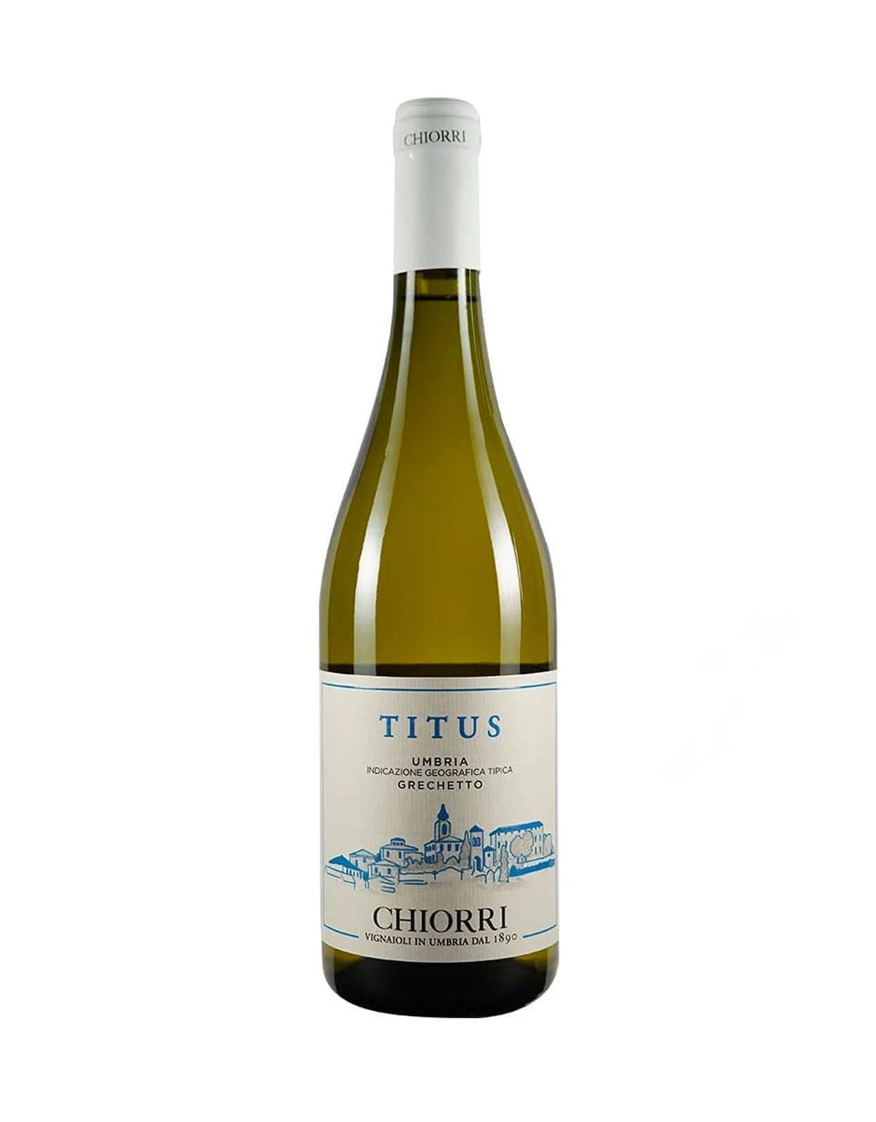 Chiorri Grechetto 'Titus' 2023