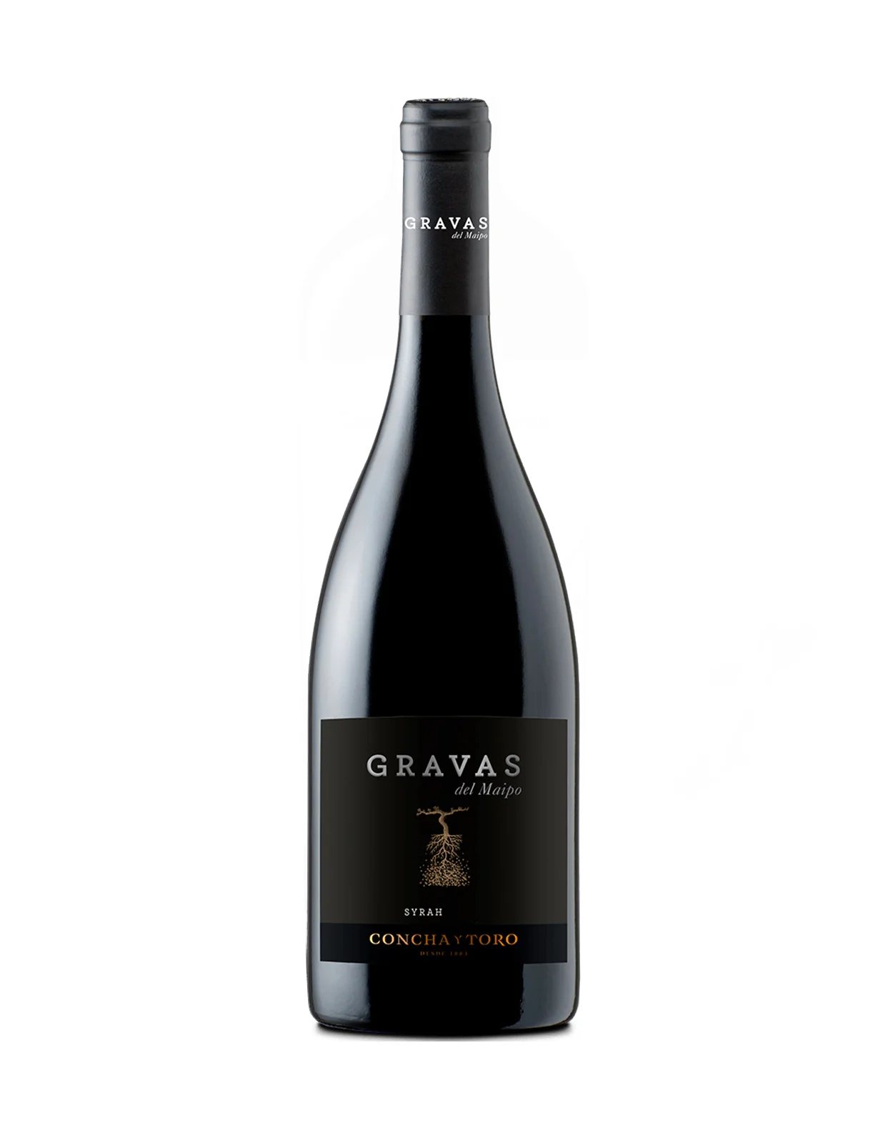Concha y Toro Gravas del Maipo Syrah 2019