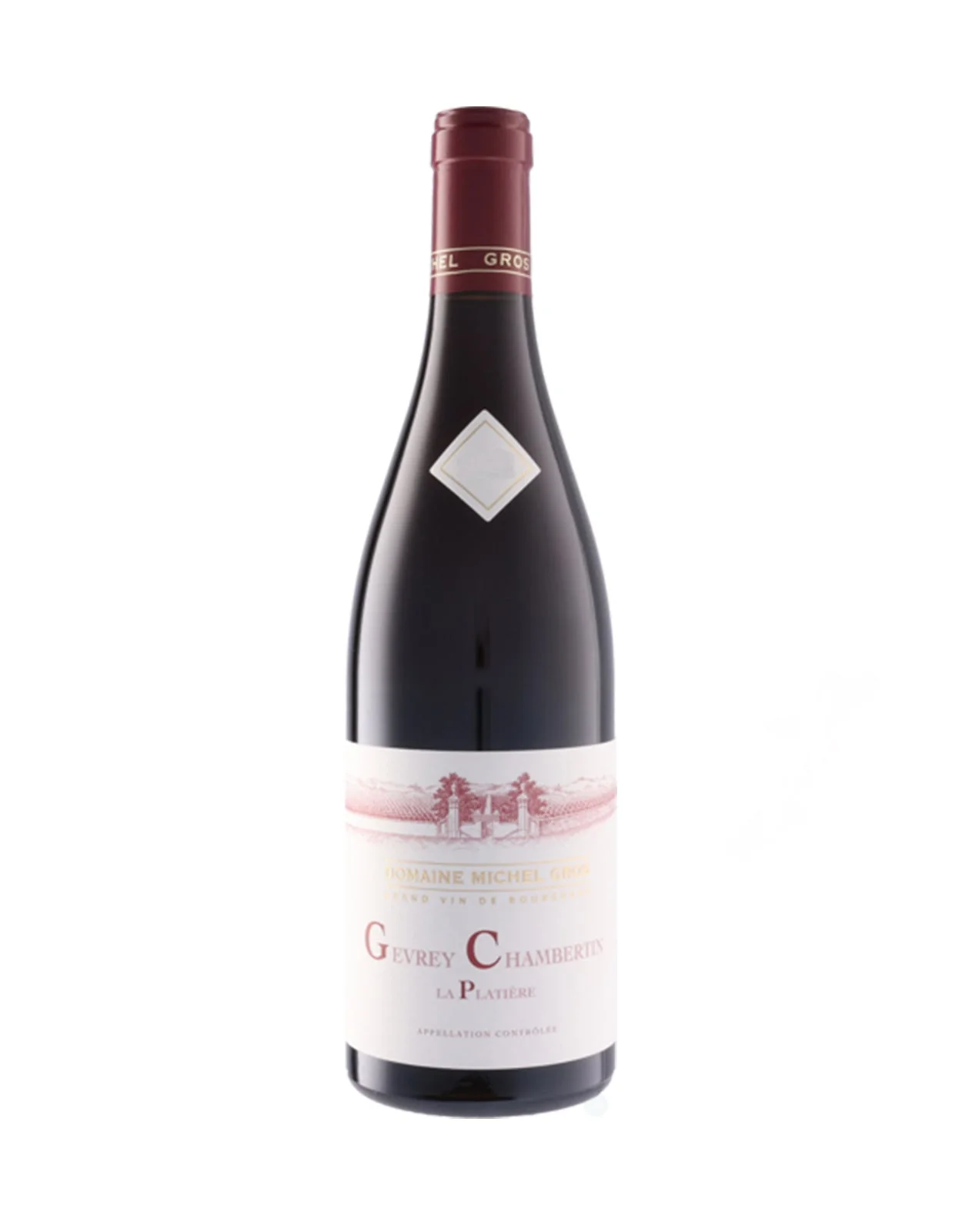 Domaine Michel Gros Gevrey Chambertin 'La Platiere' 2022