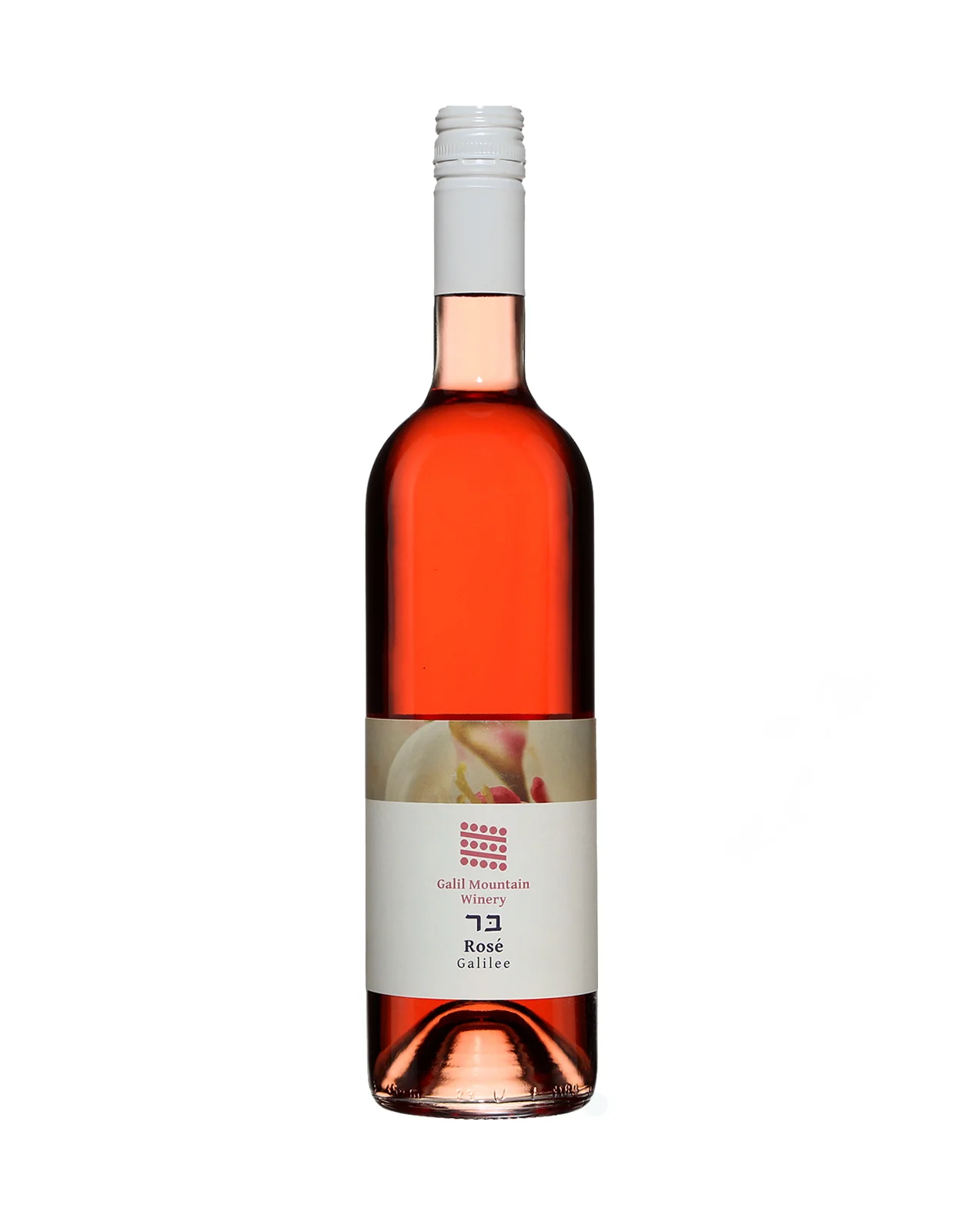 Galil Mountain Rose Galilee 2023