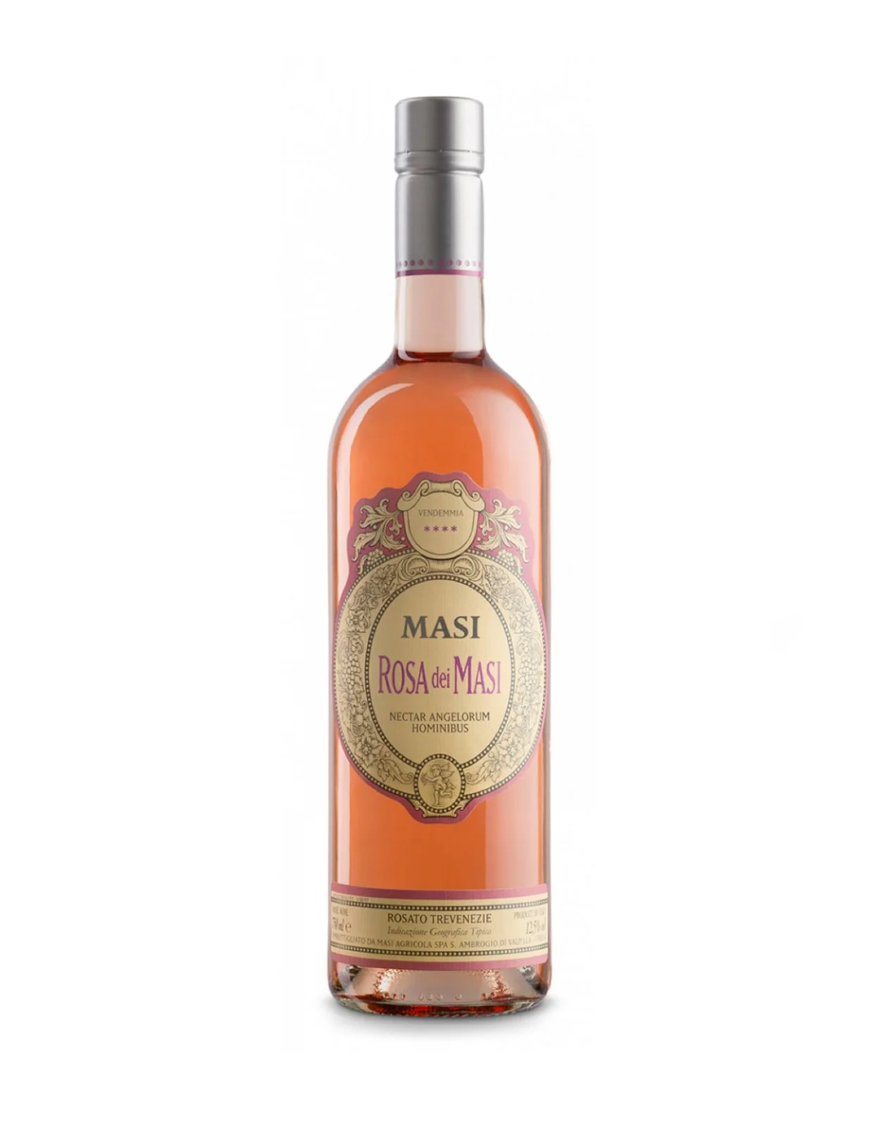 Masi Rose 2021