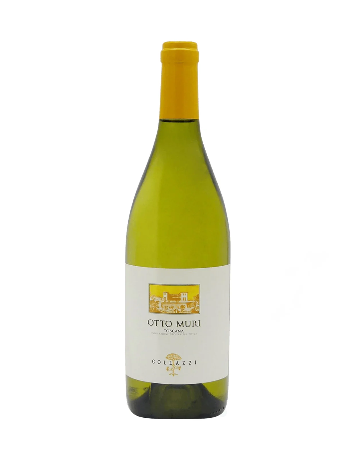 Collazzi Otto Muri Bianco 2024