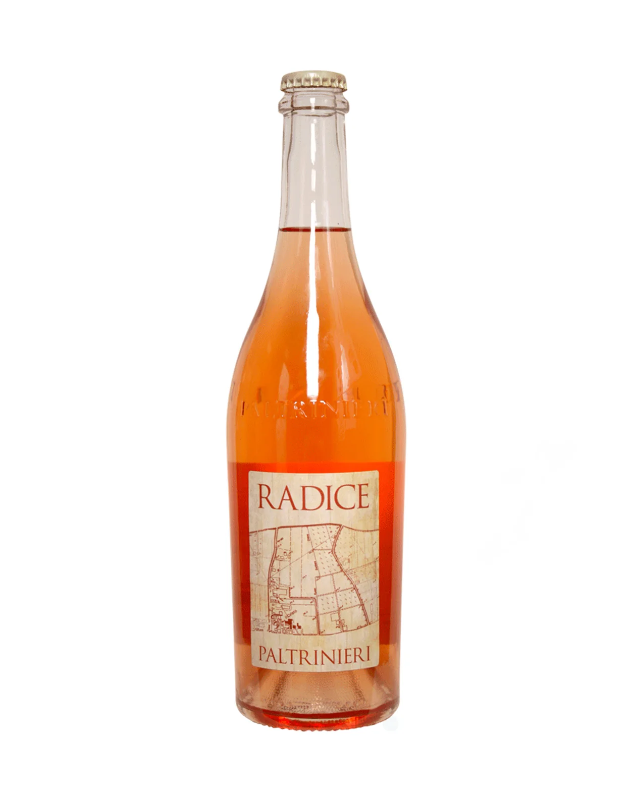 Paltrinieri Radice Rose 2023