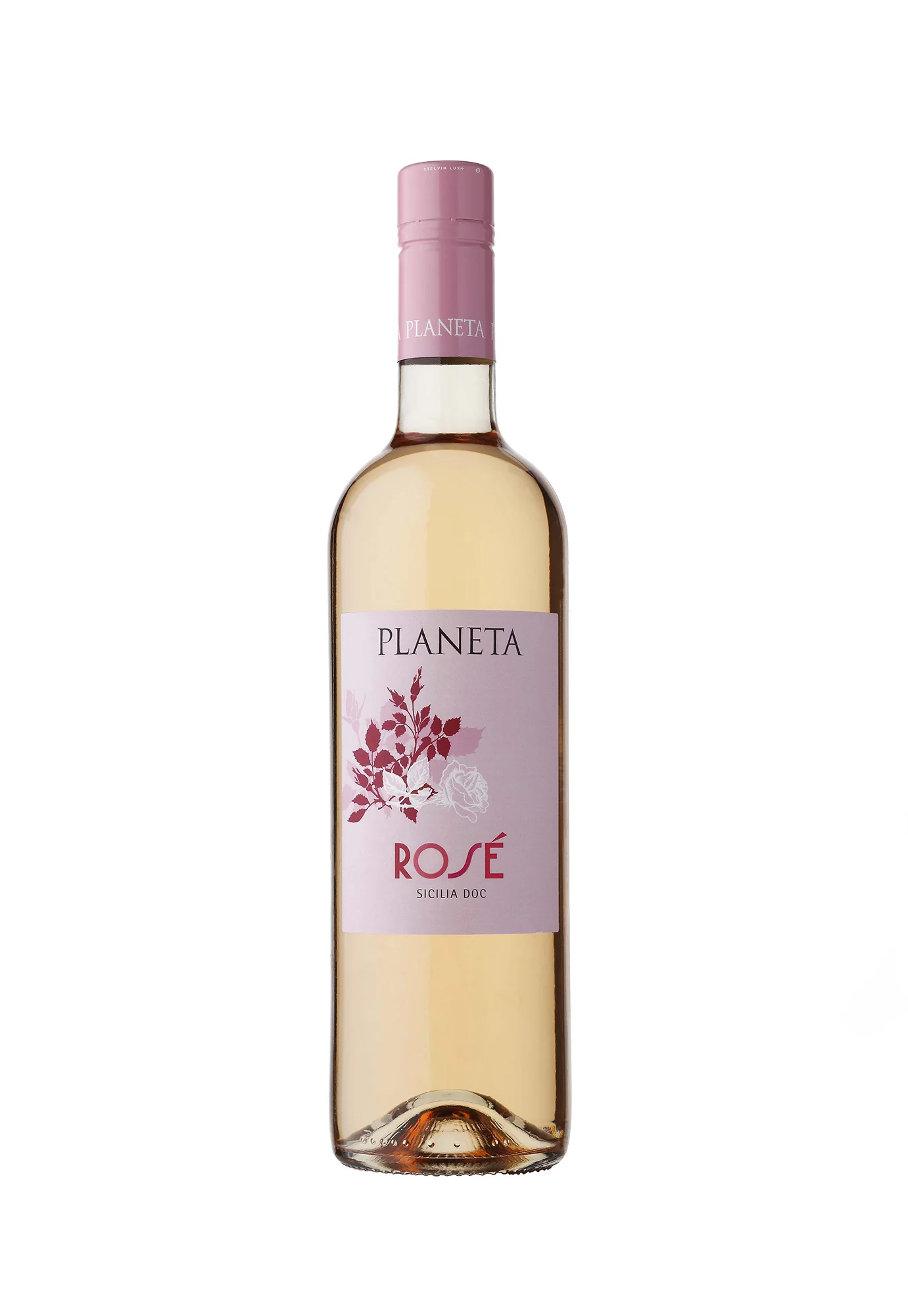 Planeta Rose 2025