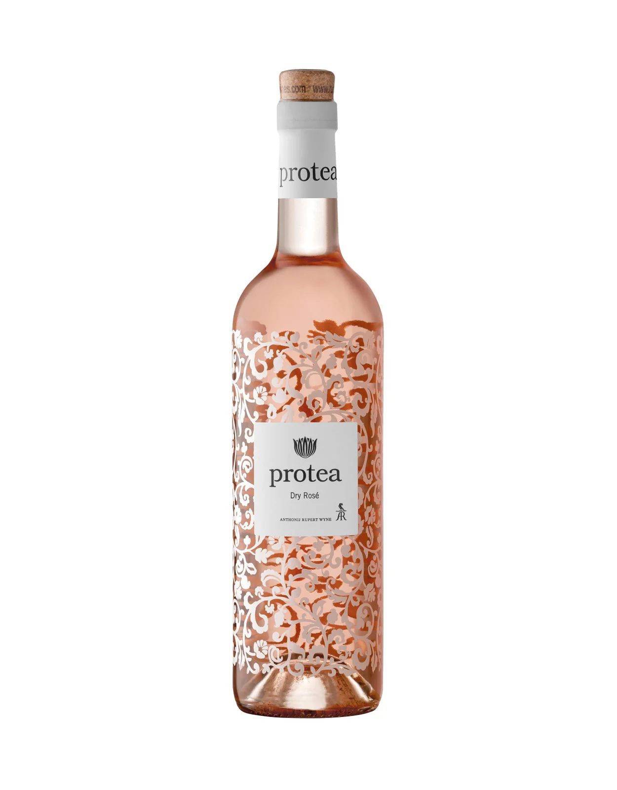 Protea Dry Rose 2025
