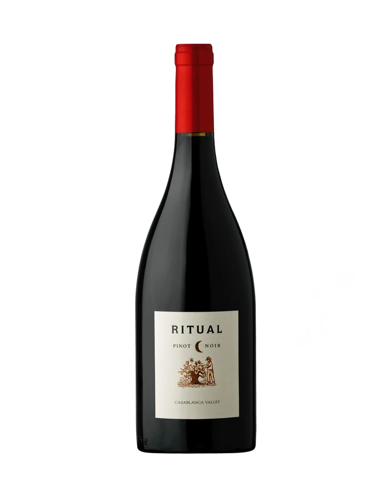 Ritual Pinot Noir Casablanca Valley 2021