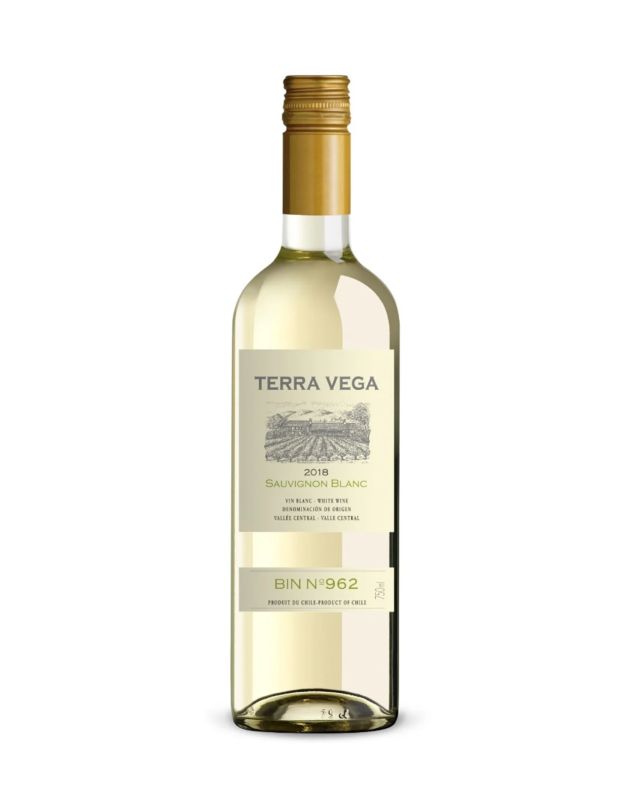 Terra Vega Sauvignon Blanc 2024