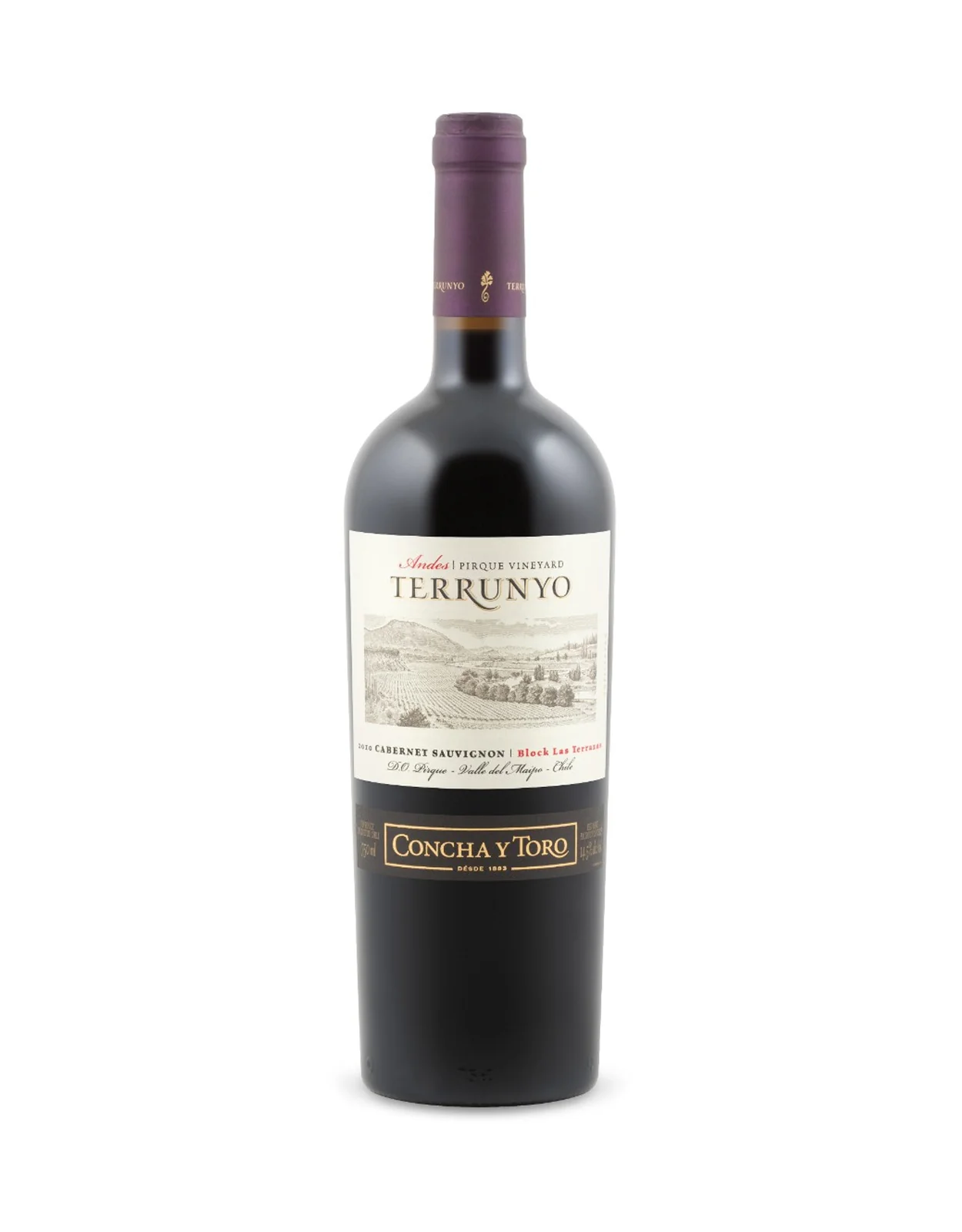 Terrunyo Cabernet Sauvignon