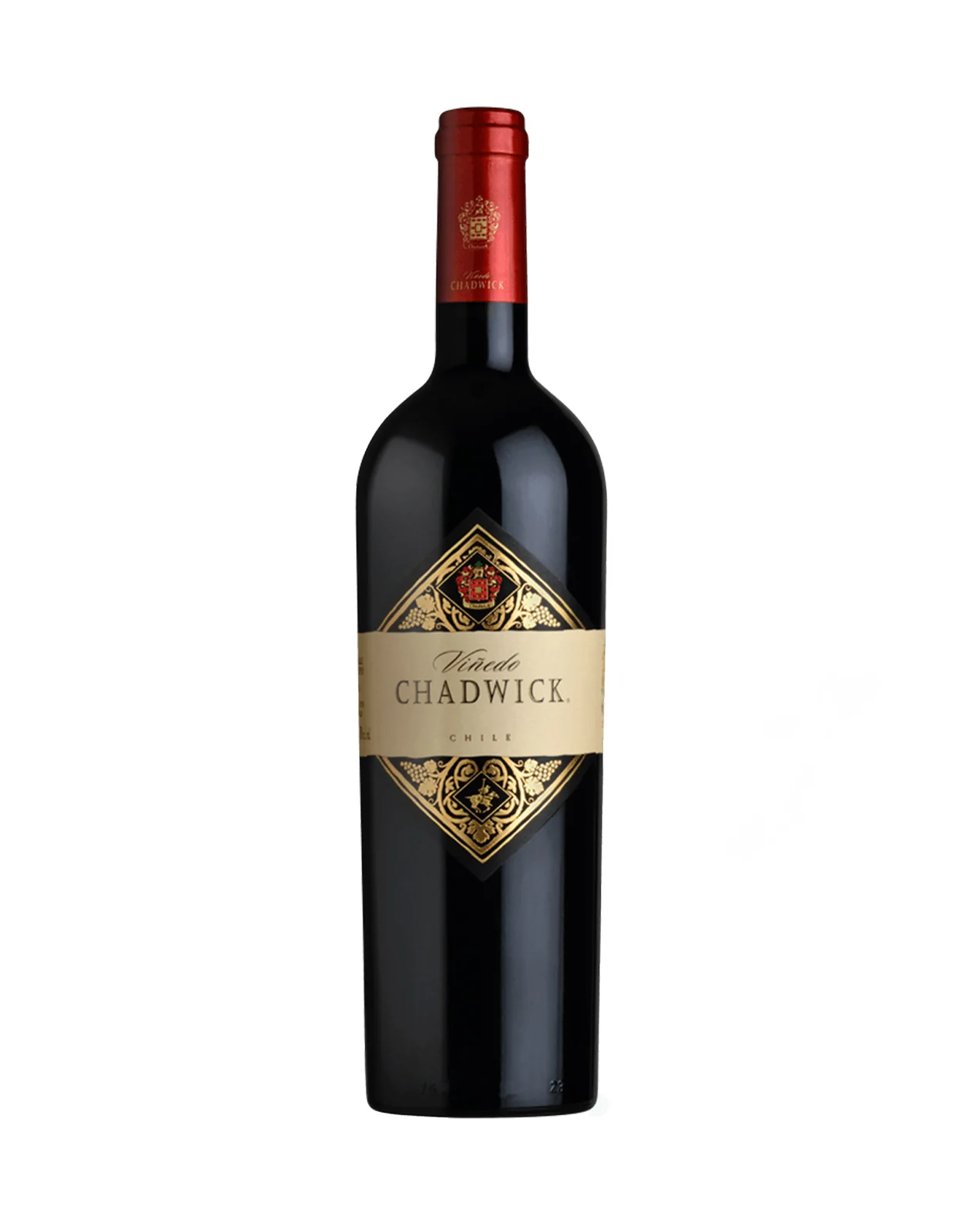 Vinedo Chadwick 2019